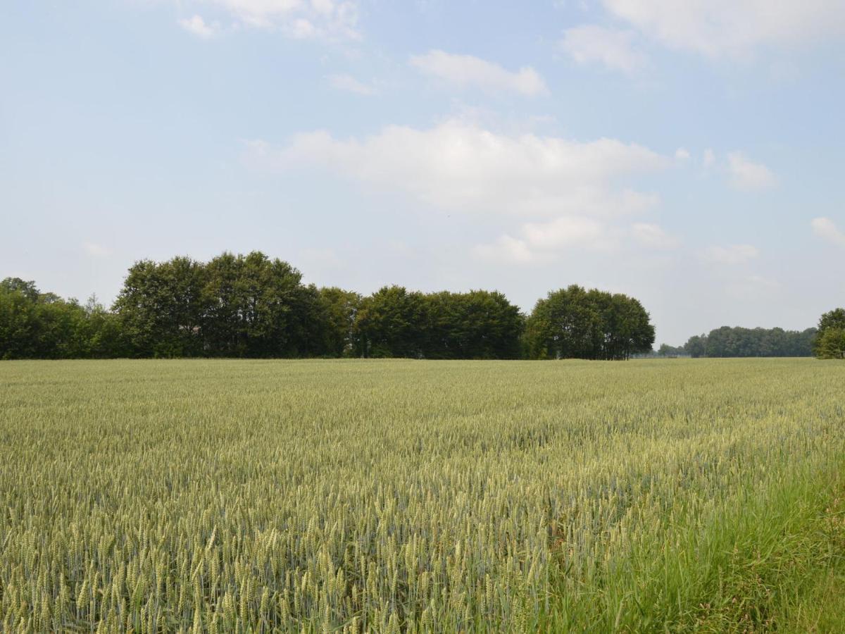 Monumental Farm In The Ash Landscape Villa Geesteren  Exteriör bild