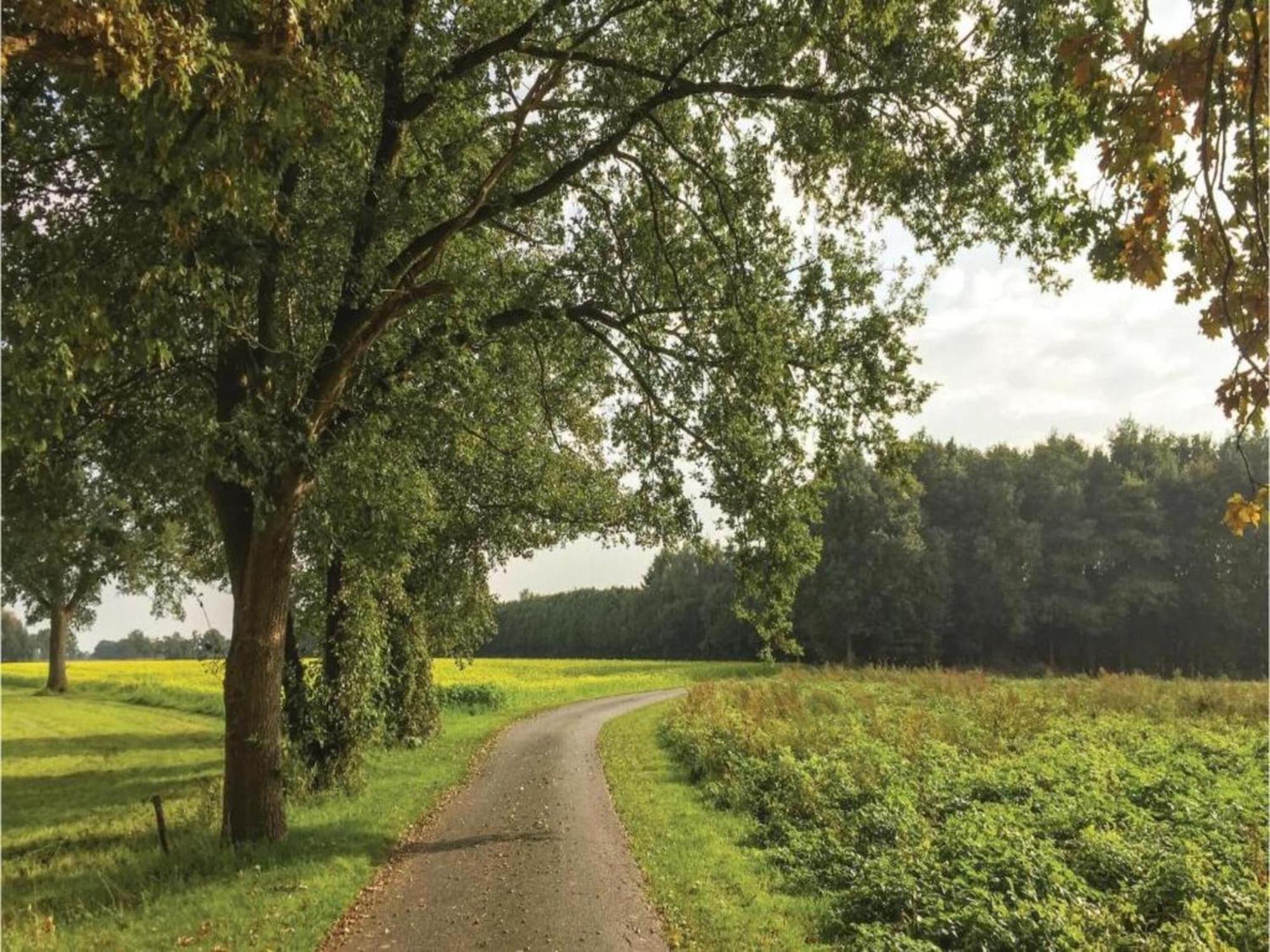 Monumental Farm In The Ash Landscape Villa Geesteren  Exteriör bild