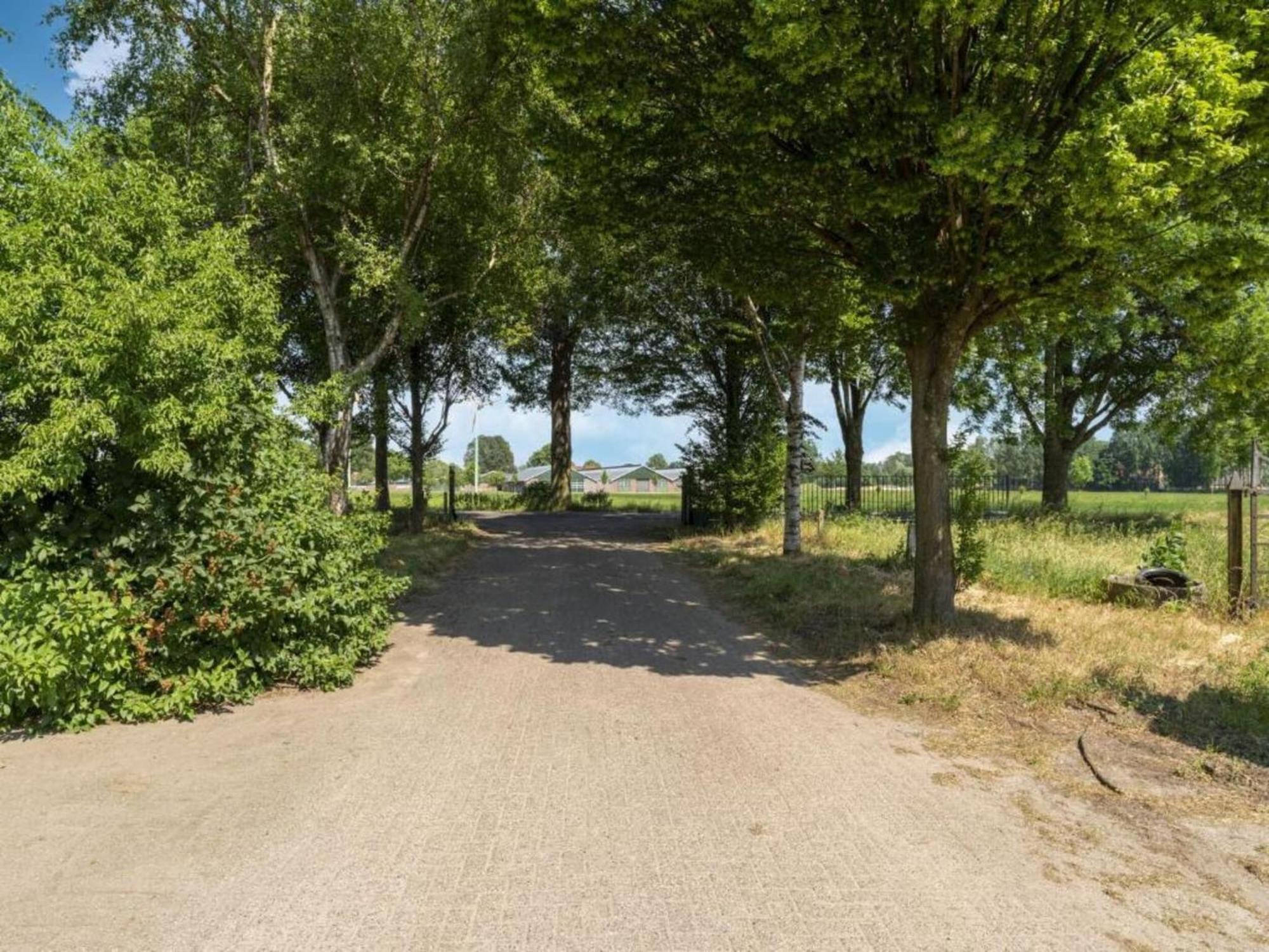 Monumental Farm In The Ash Landscape Villa Geesteren  Exteriör bild