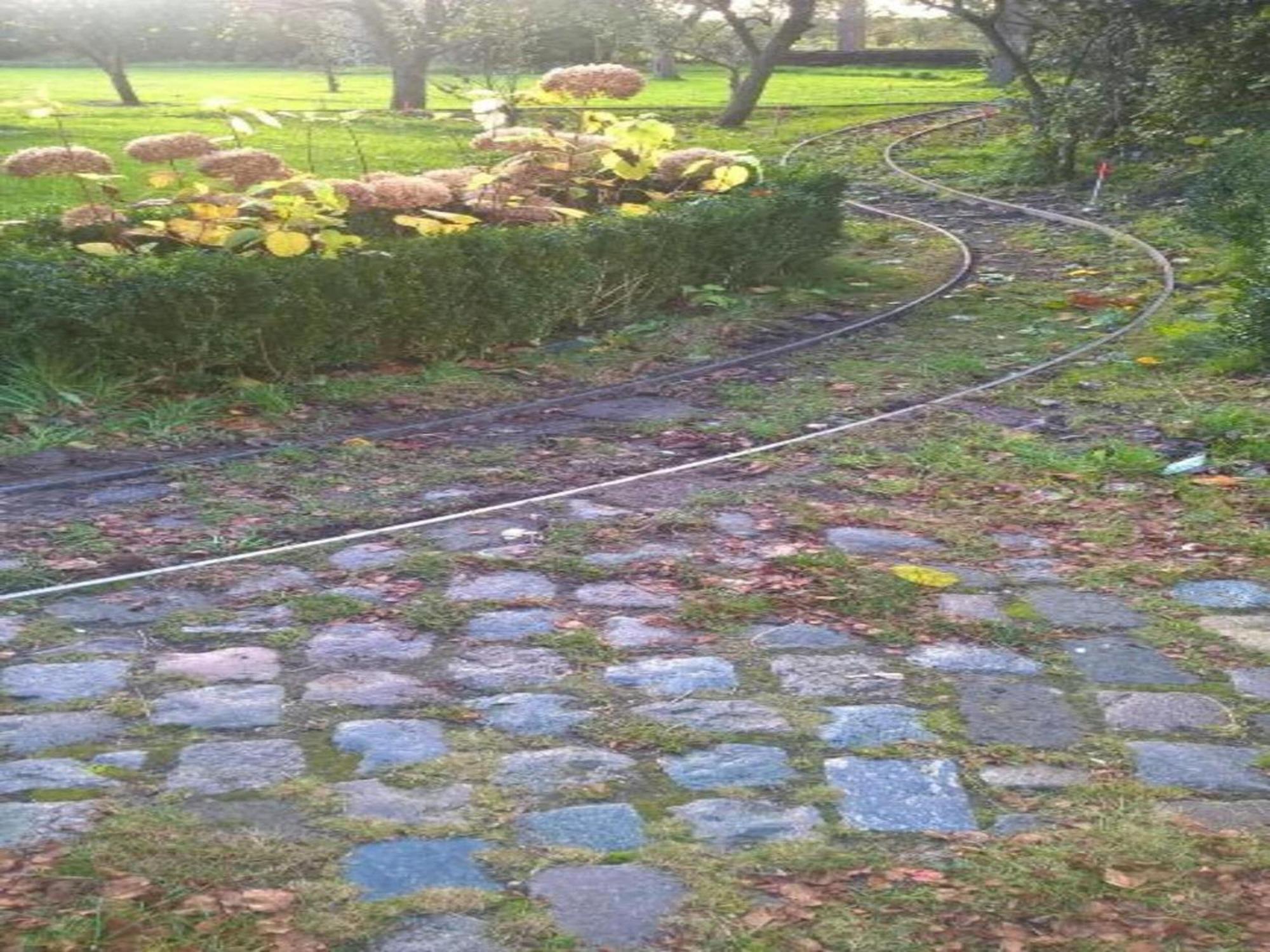Monumental Farm In The Ash Landscape Villa Geesteren  Exteriör bild