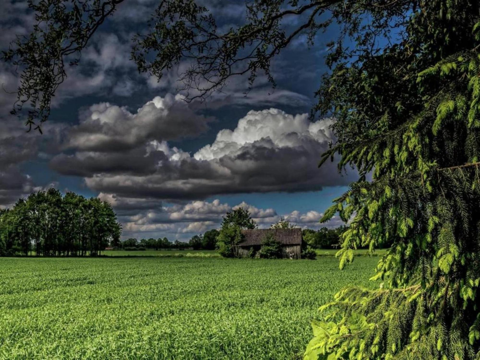 Monumental Farm In The Ash Landscape Villa Geesteren  Exteriör bild